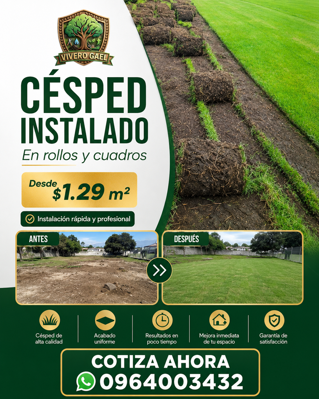 Branding & Identidad Visual 09