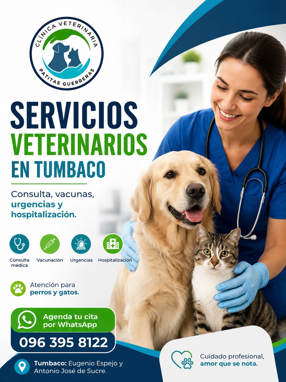 Branding & Identidad Visual 14